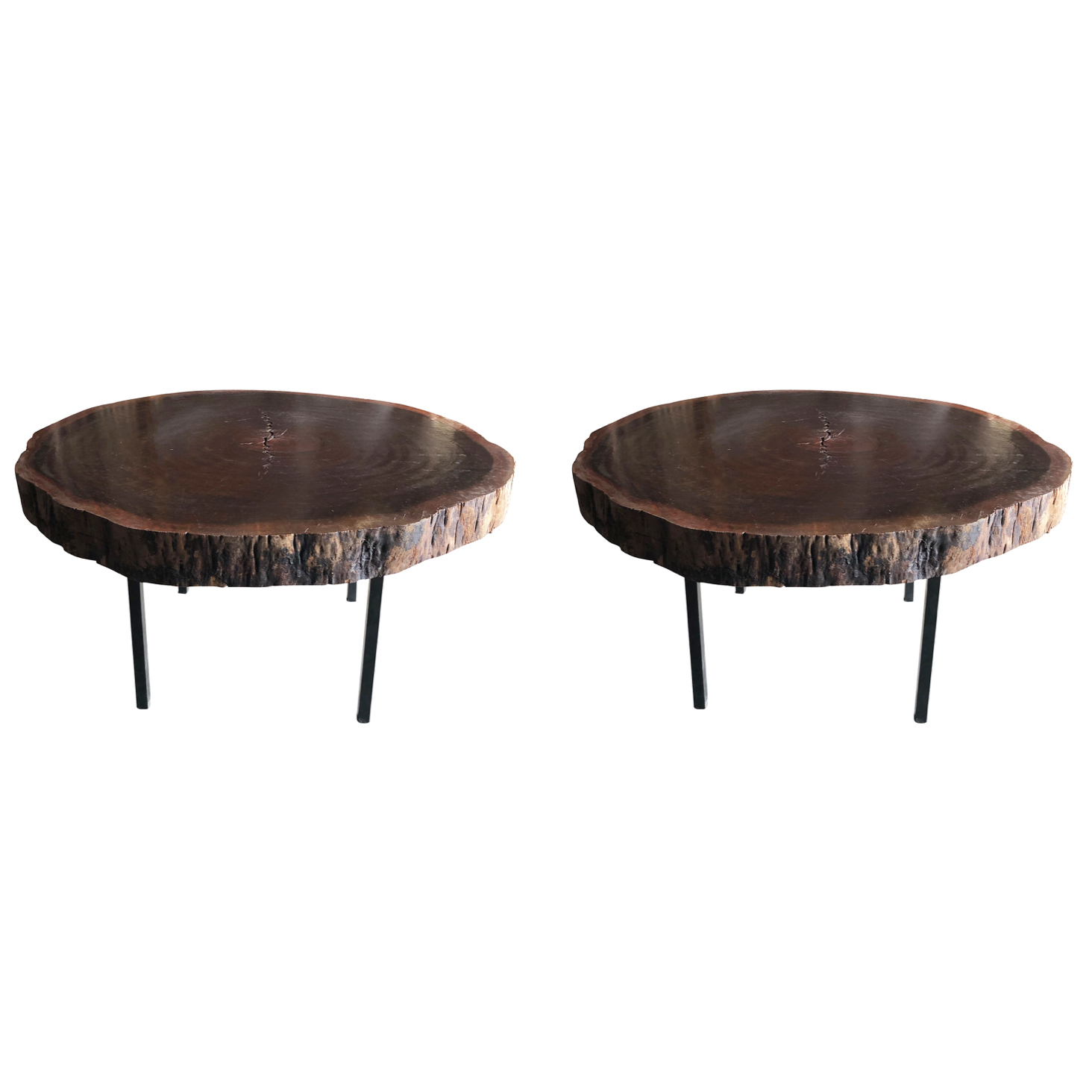 20th Century French Pair of Tree Trunk Oak Tables in the Style of George Nelson